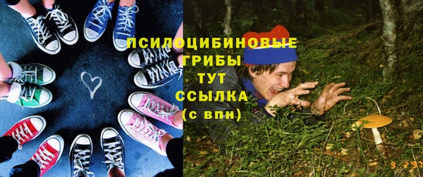 прущие грибы Кодинск