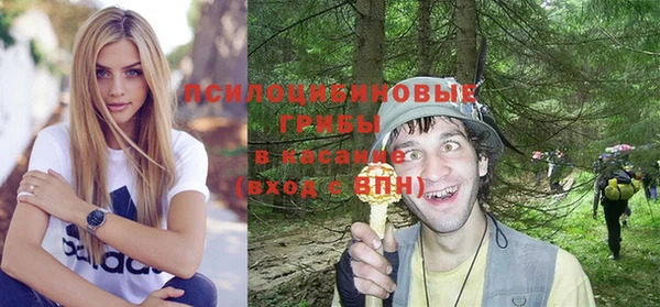 а пвп мука Козельск
