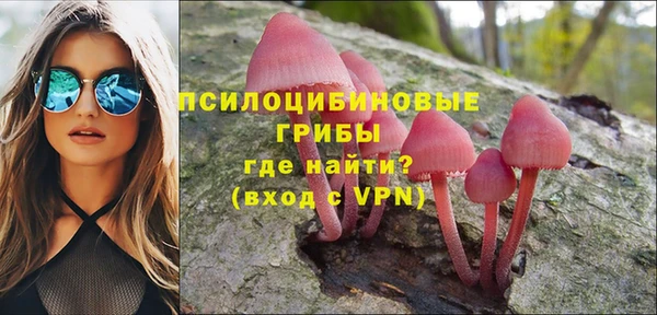 прущие грибы Кодинск
