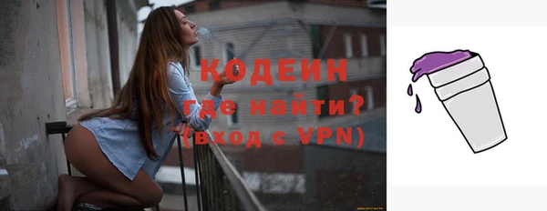 прущие грибы Кодинск