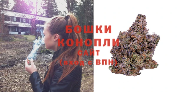 прущие грибы Кодинск