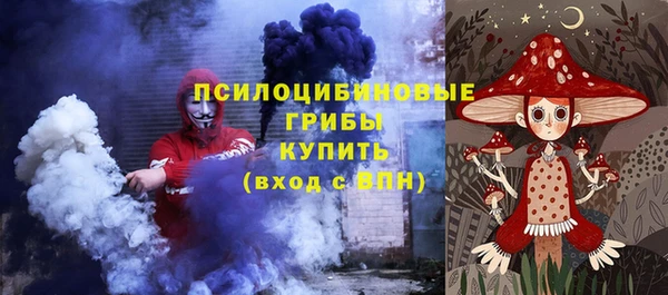 прущие грибы Кодинск