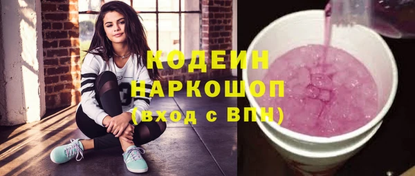 прущие грибы Кодинск