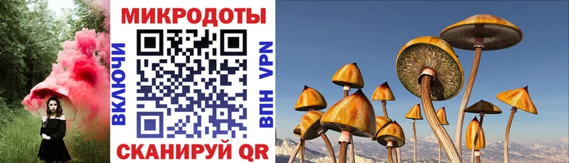 кракен ONION  Туймазы  Галлюциногенные грибы ЛСД 