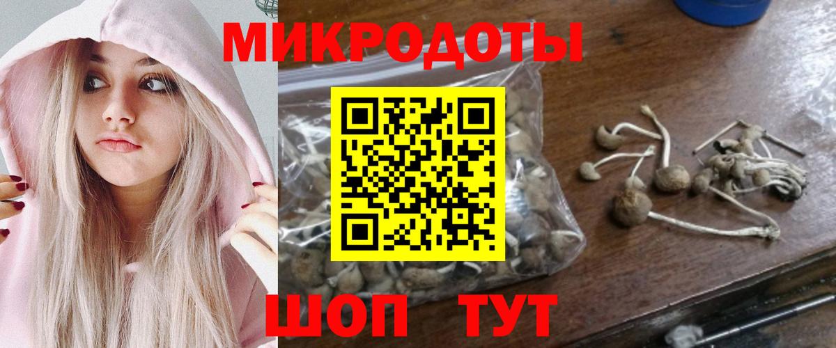 Галлюциногенные грибы MAGIC MUSHROOMS  Галлюциногенные грибы Psilocybe  Туймазы  Вход с VPN 
